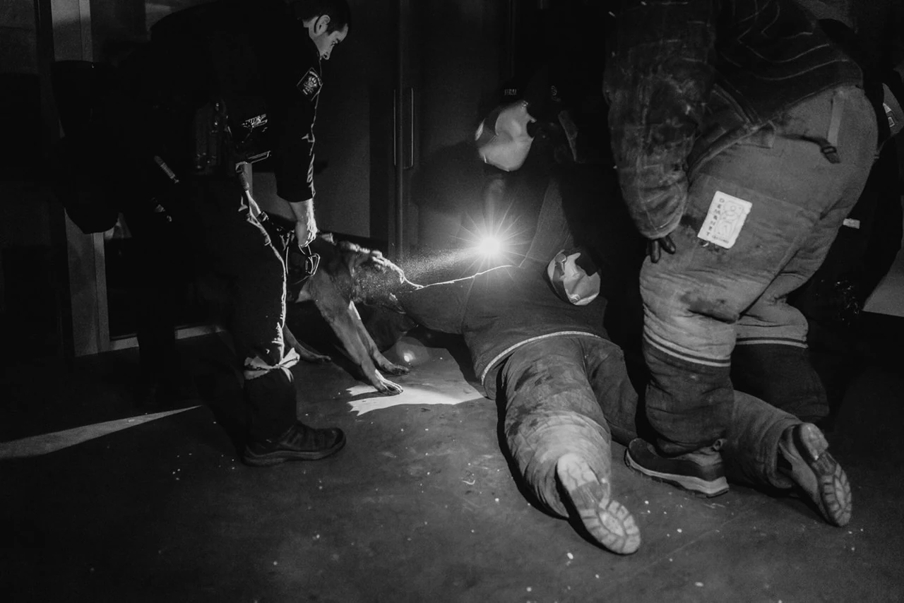 Police K9 team works a scenario by flashlight.